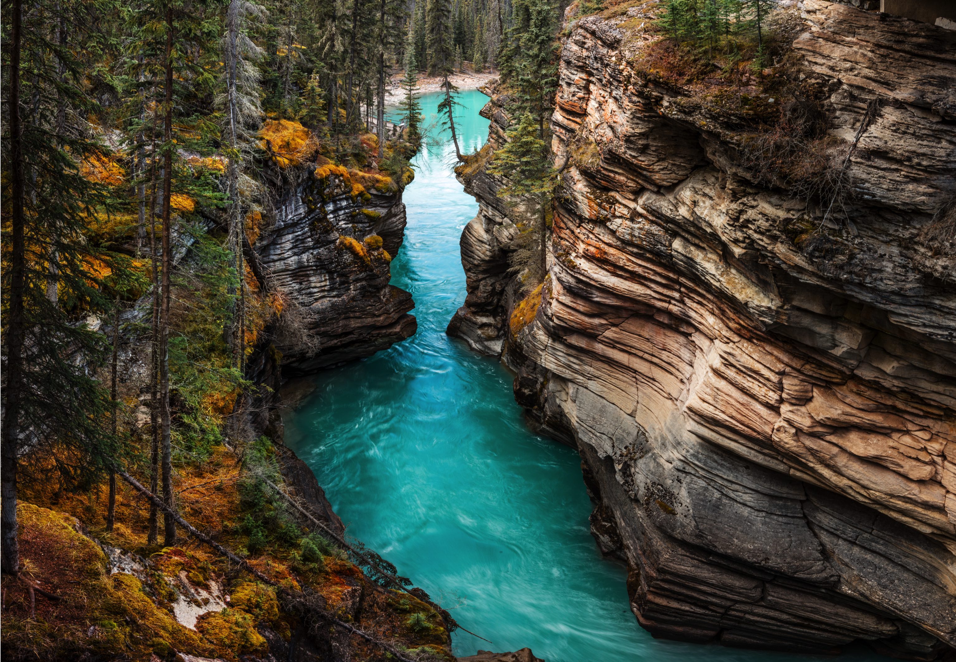 Riviere parc jasper 